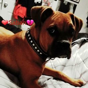 Meet your Posher, Robert